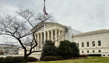 The anticipated criminal law decisions and arguments for the rest of this term