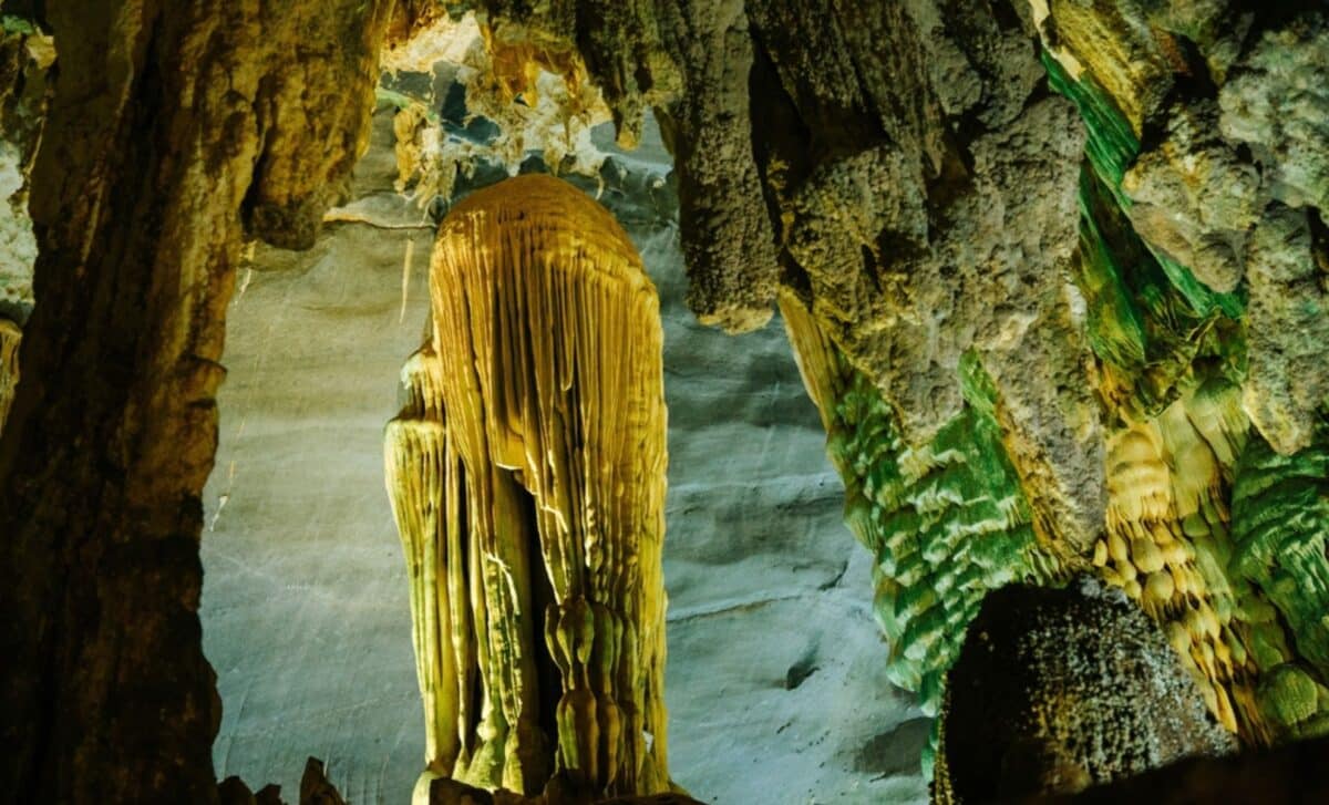 This Strange “giant” Crustacean Shocked Researchers