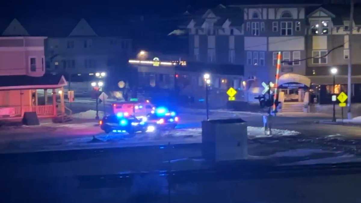 1 in custody, shelter in place lifted in Brookfield after police swarm area near parks