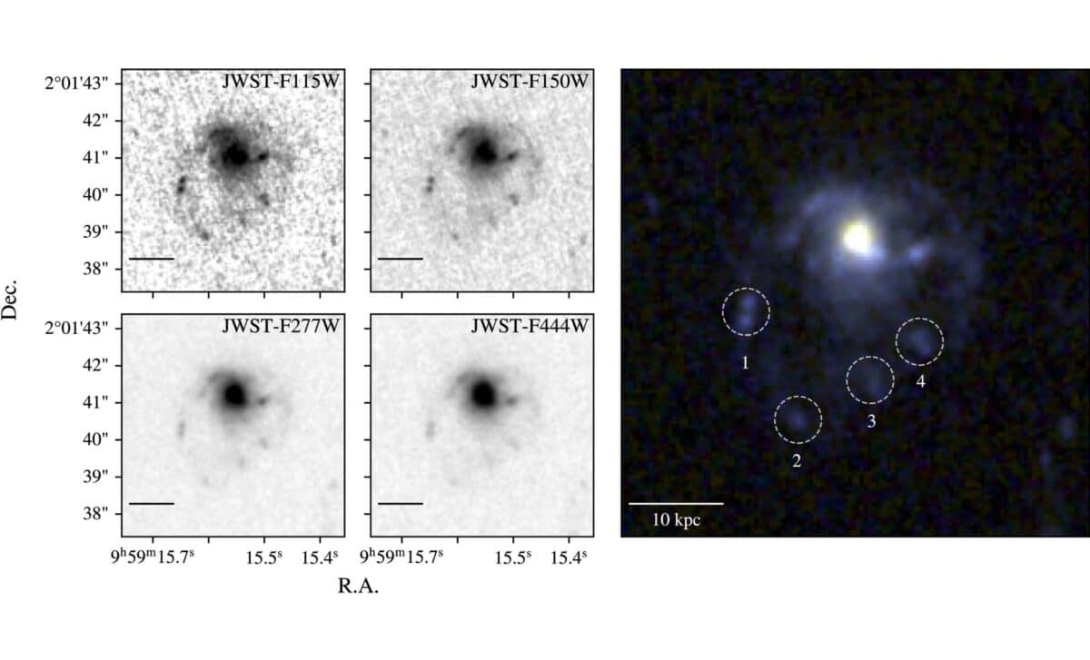 Thumbnail Images Of Cosmos2020 635829 For The Four Jwst Filters