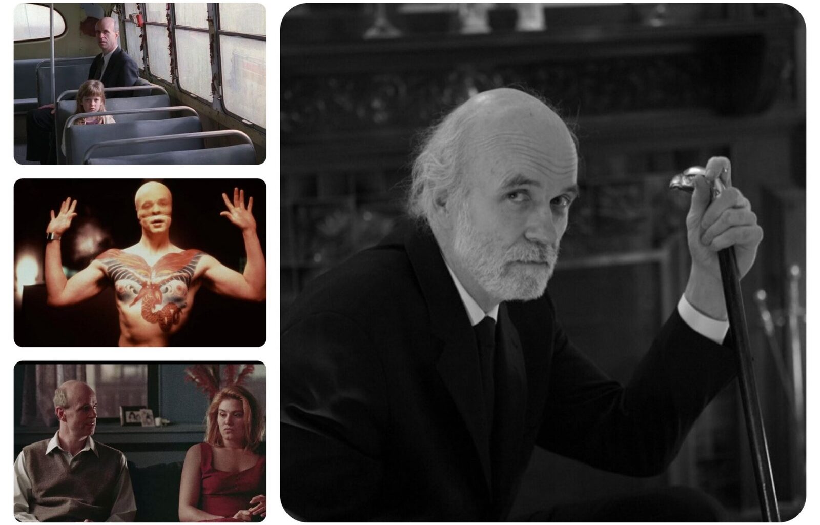 Branden Zavaleta Avatar