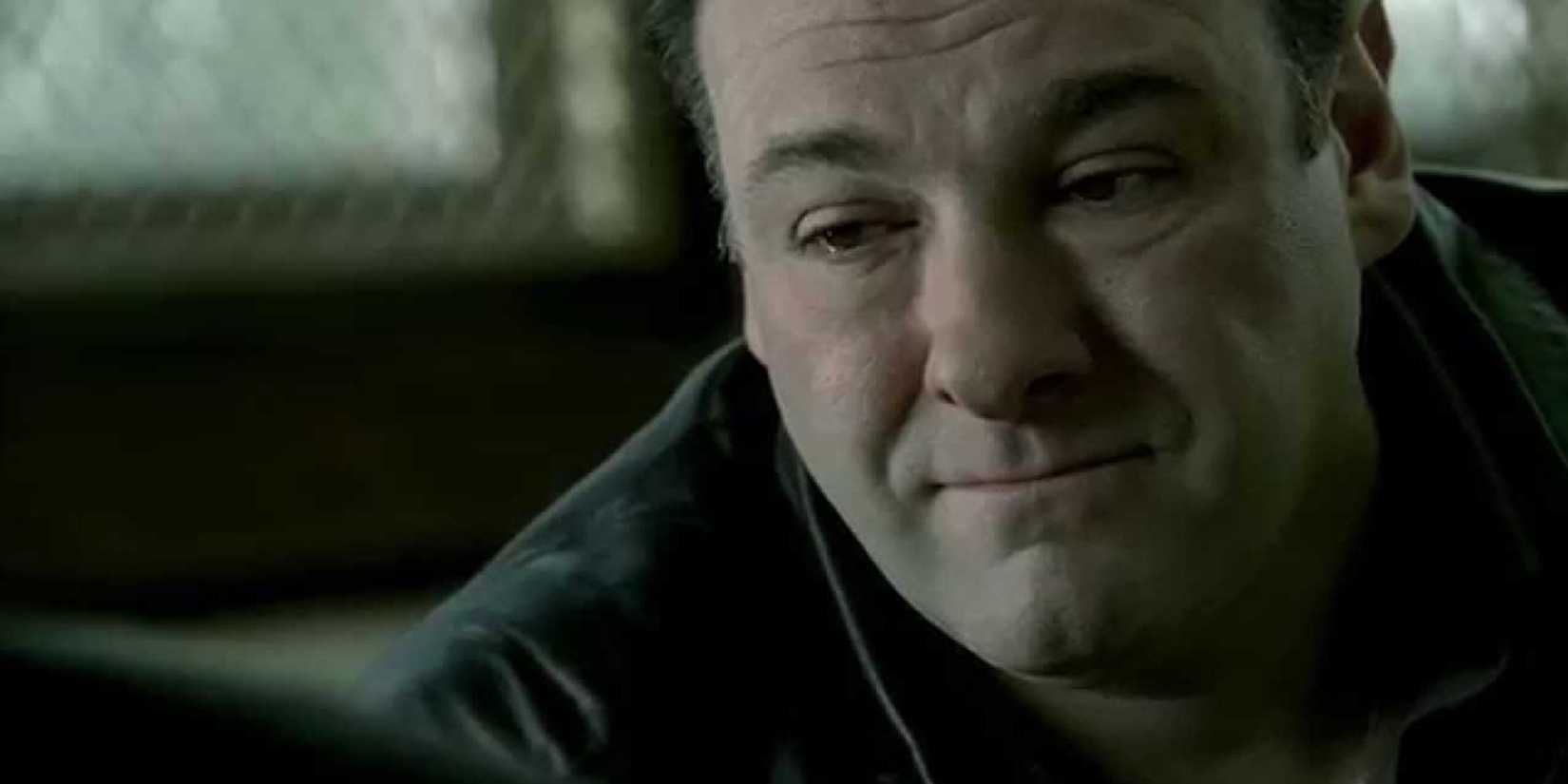 Tony talks to Junior in The Sopranos finale