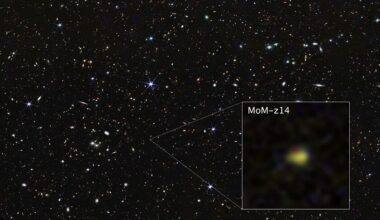 Brighter Side of News