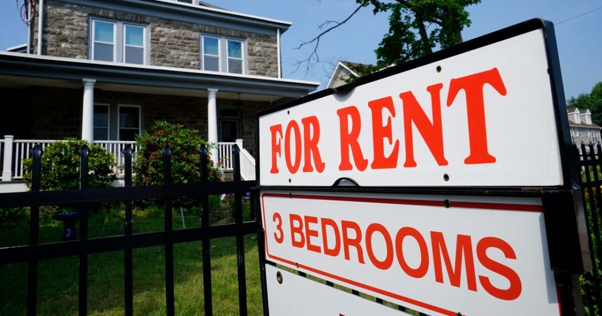 Most Gen Z workers struggle to live on their own, report finds