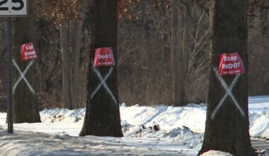 INDOT removing 50 trees for Bloomington road project, raising community concern