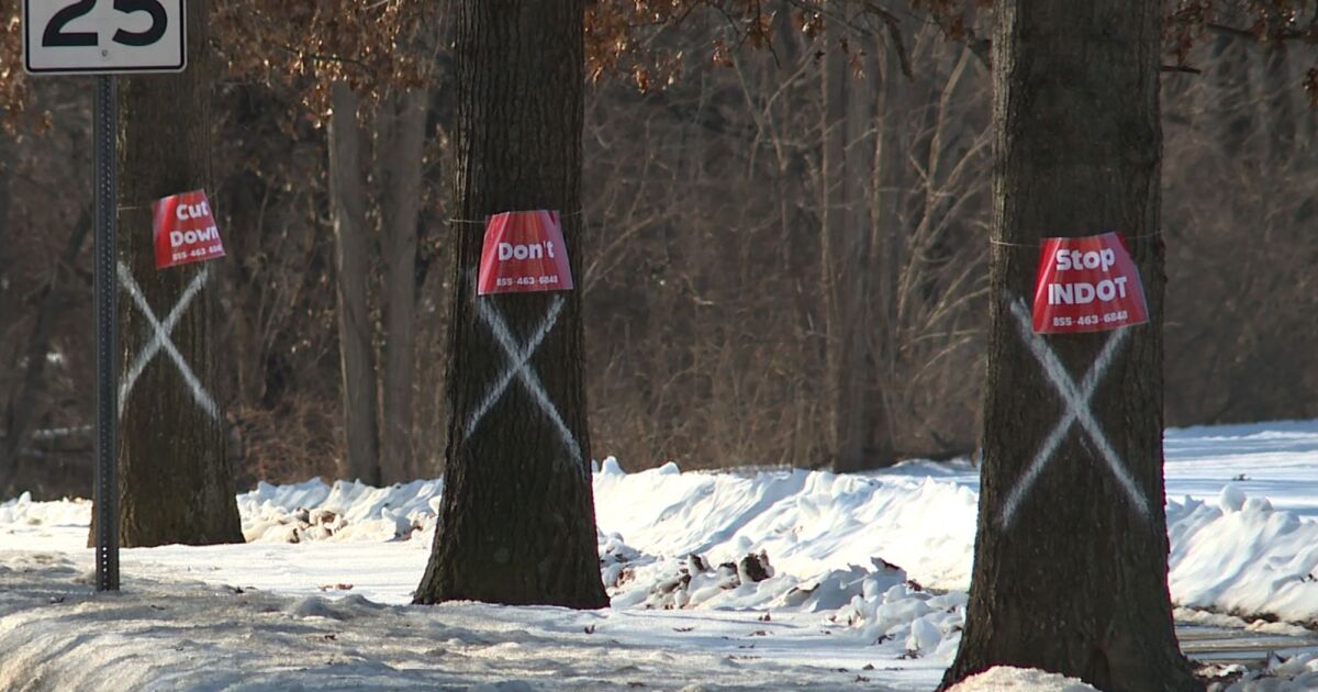 INDOT removing 50 trees for Bloomington road project, raising community concern
