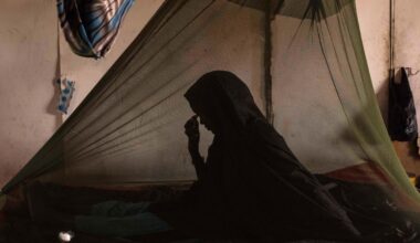 The truth (and false positives) of TB diagnosis : NPR