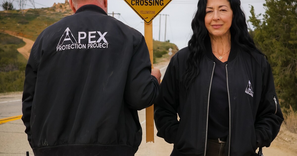 Roads are dangerous for LA’s new wolf visitor. The ‘Wolf Crossing’ campaign aims to help