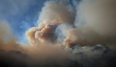 New study reveals deadly impact of wildfire smoke pollution in the US
