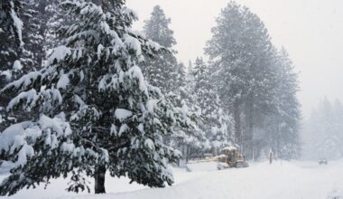Authorities say 6 skiers still alive, 10 missing after Northern California avalanche