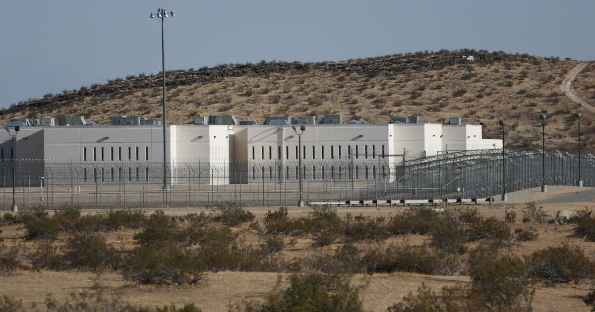 Department of Homeland Security must provide 'constitutionally adequate healthcare' at ICE detention center, judge rules