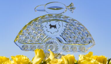 WM Phoenix Open 2026 prize money: How much does Gotterup win from $9.6 million purse?