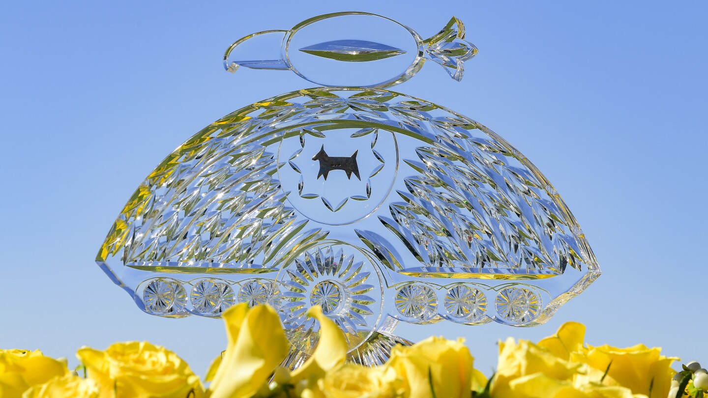 WM Phoenix Open 2026 prize money: How much does Gotterup win from $9.6 million purse?