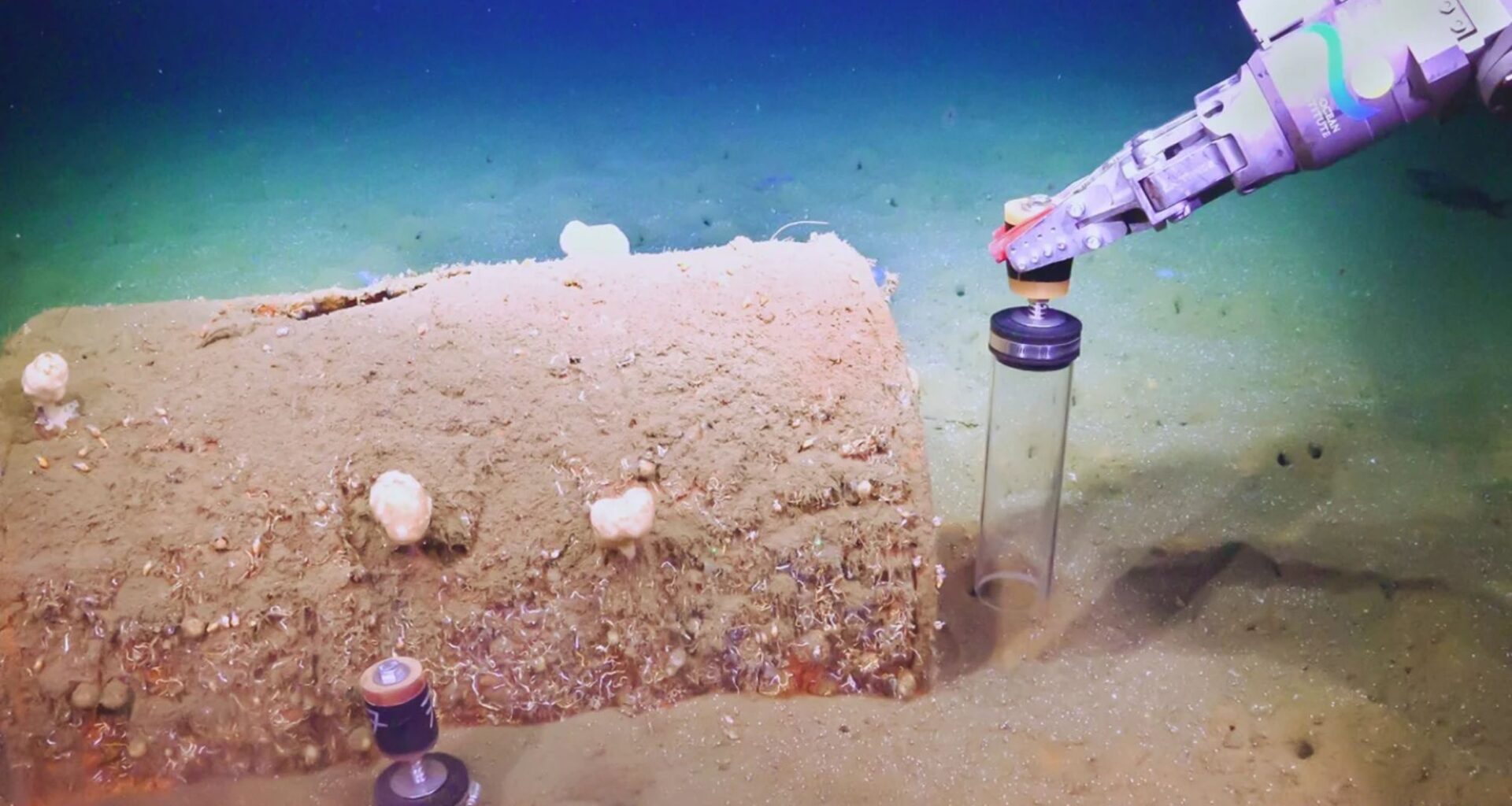 Thousands of barrels of toxic waste are leaking into the ocean