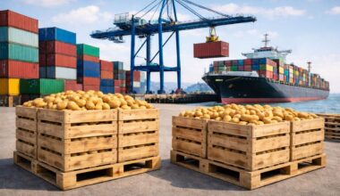 Potatoes & Products: Industry, News, Stats, Prices, Markets & Trends