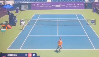 Tennis players run for cover after bees invade stadium in wild scene