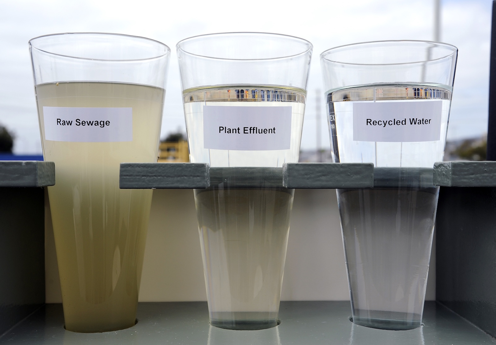 three glasses of water ranging from murky to clear labeled from raw sewage to plan effluent to potable