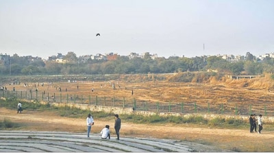 As of February 4, Welcome jheel lies barren, filled with weeds, burnt grass, and rubble, acting as a playground for kids. (Sanchit khanna/HT photos)