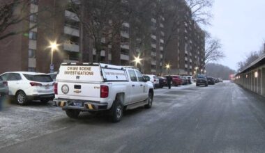 Woman found shot to death in Wilkins Township, Pennsylvania