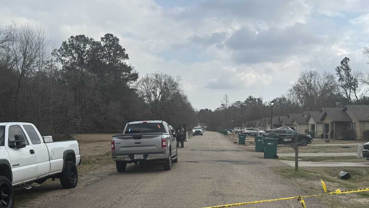 Hammond shooting injures four people, kills one