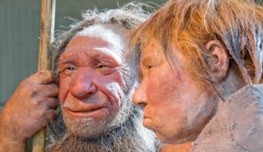Genetic analysis reveals new details on ancient human and Neanderthal couplings