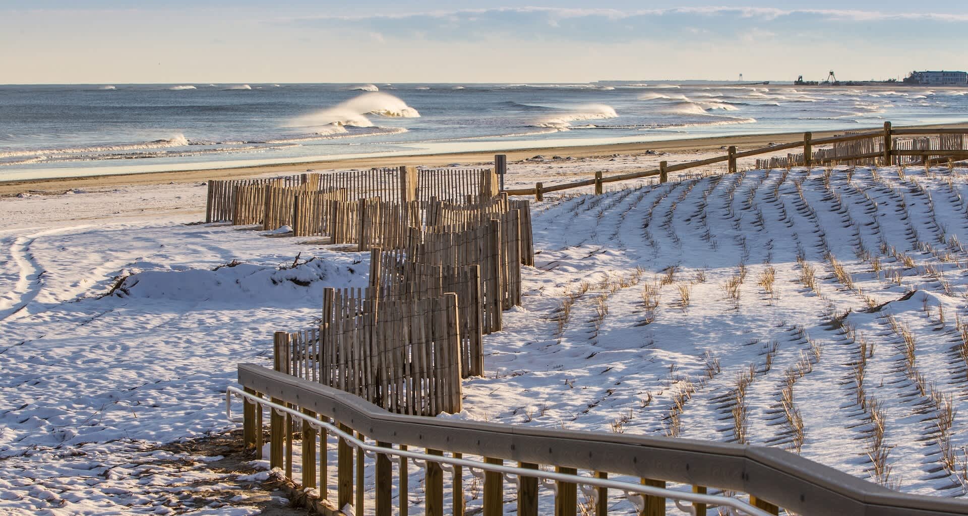 In Cape May, New Jersey, the situation for woodcocks has turned catastrophic this winter.