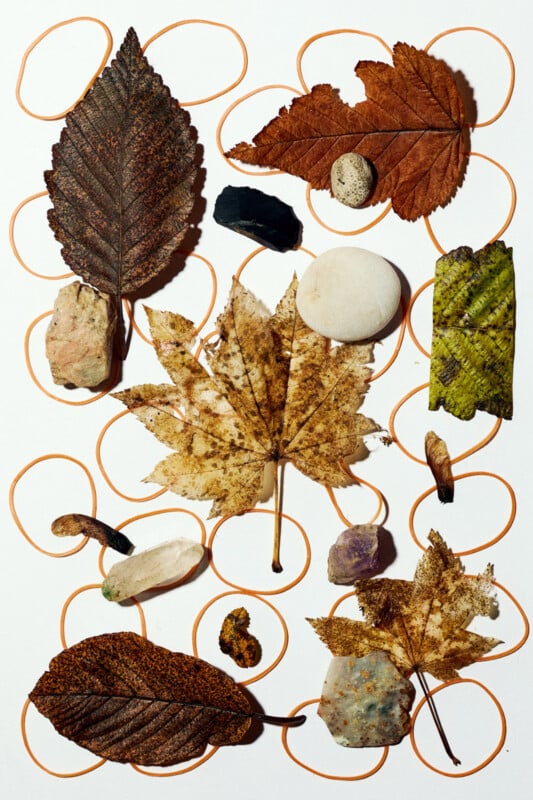 A collection of dried leaves, stones, and small natural objects arranged on white paper with orange looping lines in the background.