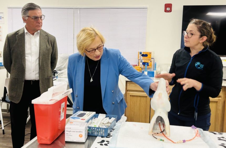 Gov. Janet Mills visits a veterinary technology class at York County Community College in Wells, Maine, on Wednesday.