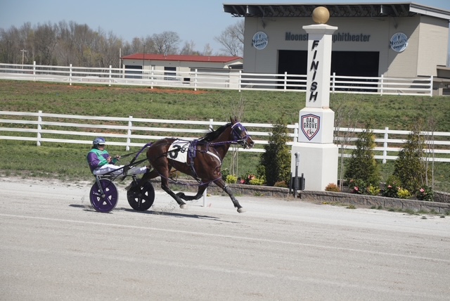 United States Harness Driving Club helps Oak Grove kick off 2026 season 1 Cassidy Whitton helped kick off the 2026 at Oak Grove Racing and Gaming when she piloted White Belly to victory in the USHDC inaugural;.Whitton co-owns the nine-year-old with Pat Melloy, Jr