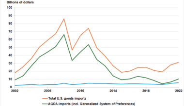 Line chart titled “Goods Trade between the United States and sub-Saharan Africa,” showing values in billions of U.S. dollars from 2002 to 2022. Three lines are displayed: total U.S. goods imports from sub-Saharan Africa (orange), AGOA imports including the Generalized System of Preferences (green), and AGOA non-oil imports including the Generalized System of Preferences (blue).
