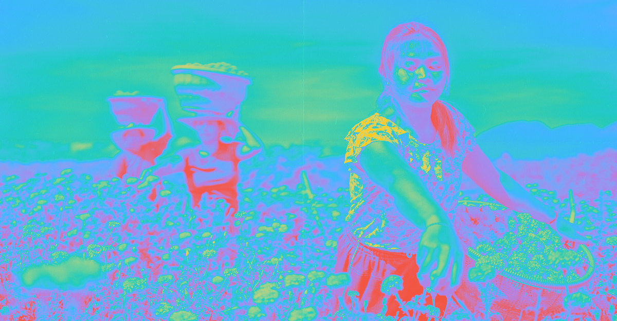 2026 Is Year of the Female Farmer. We Spoke to Five Who Are Also Technologists.