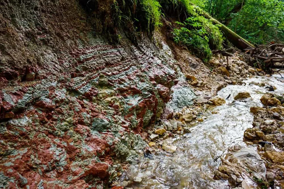 Vivid ancient variegated clay layers revealed in a steep ravine slope with a rushing creek, a Carboniferous geological spectacle