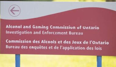 More young men contacting Ontario gambling helpline, new study finds