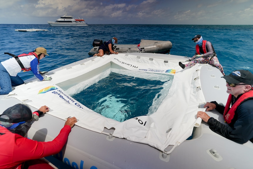 What looks like a paddle pool in the ocean.