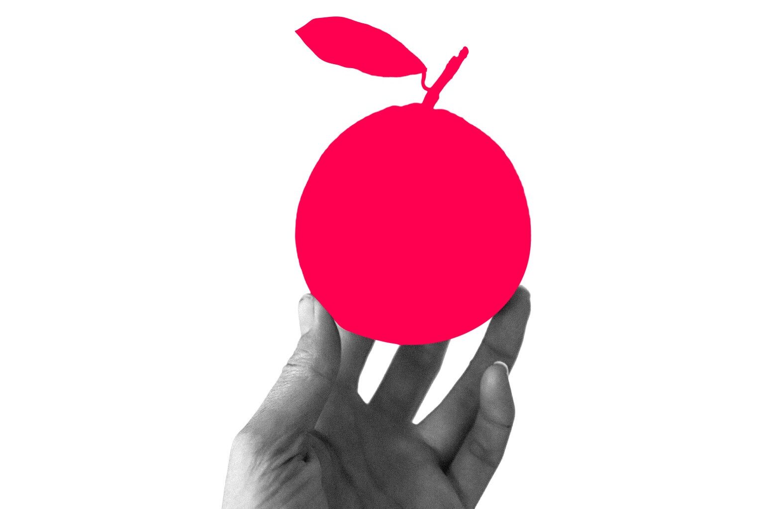 My wife robbed the neighbors for the sake of her book club. It's about to get a whole lot worse.