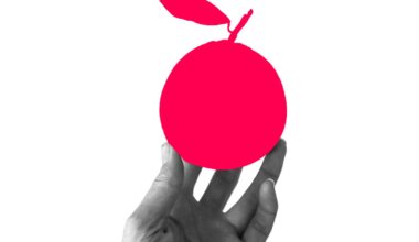 My wife robbed the neighbors for the sake of her book club. It's about to get a whole lot worse.