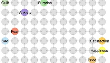 The results revealed clear groupings in the way that our brains represent emotion ¿ with guilt, anger and disgust in one corner and happiness, satisfaction and pride in the other
