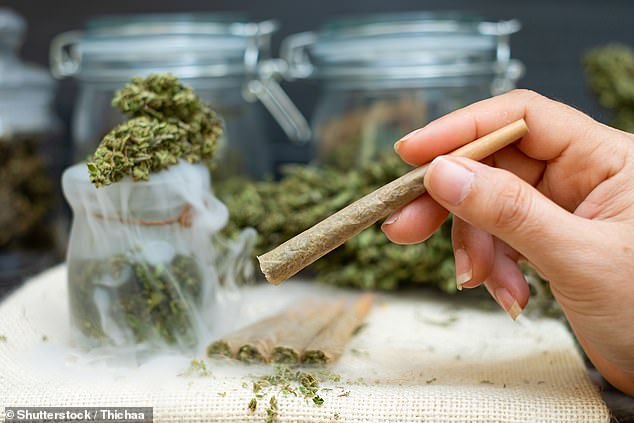 Leader author Ana Aquino-Servin said the findings mean that regular, heavy users of cannabis may find it hard to be motivated to do complex tasks