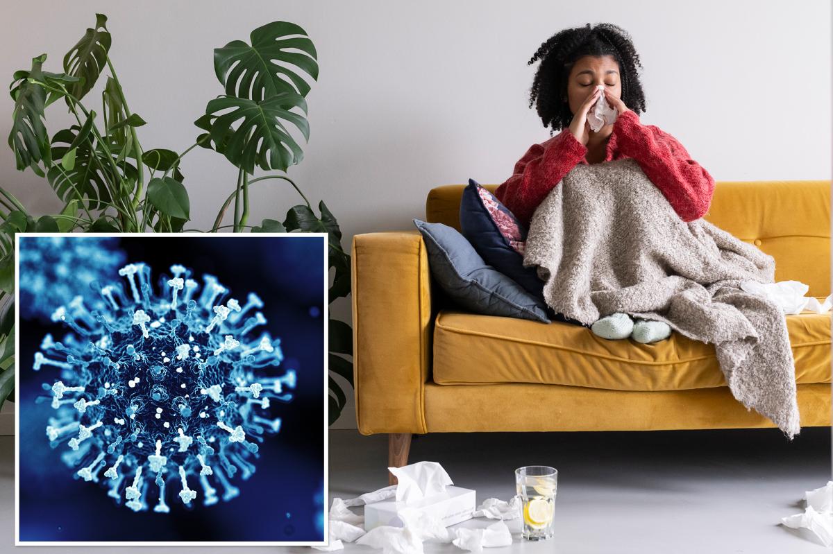 HMPV virus with no vaccine is spreading in California