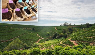 The price of coffee is skyrocketing faster than all other groceries — and the reason goes way beyond tariffs