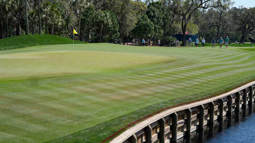 A shot of the rough to the left of TPC Sawgrass' 12th green on Wednesday. (Tracy Wilcox/PGATOUR)