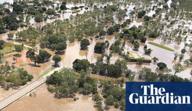 ‘There are crocs absolutely everywhere’: NT residents warned to stay out of flood waters as hundreds evacuated | Northern Territory