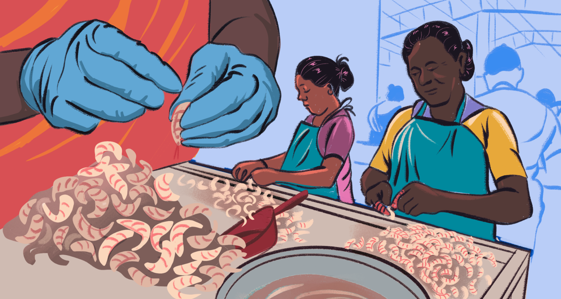 US Tariffs Squeeze Women in India’s Shrimp Industry