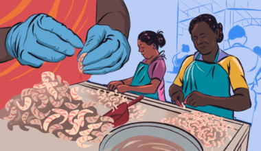 US Tariffs Squeeze Women in India’s Shrimp Industry
