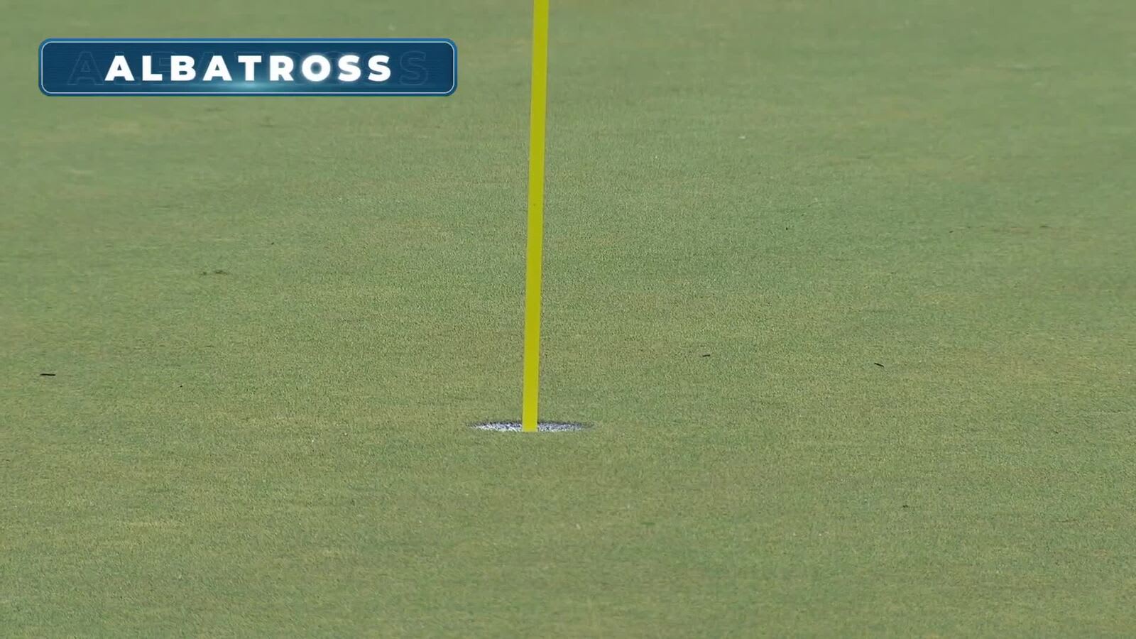 Max McGreevy's incredible 246-yard albatross is the Shot of the Day