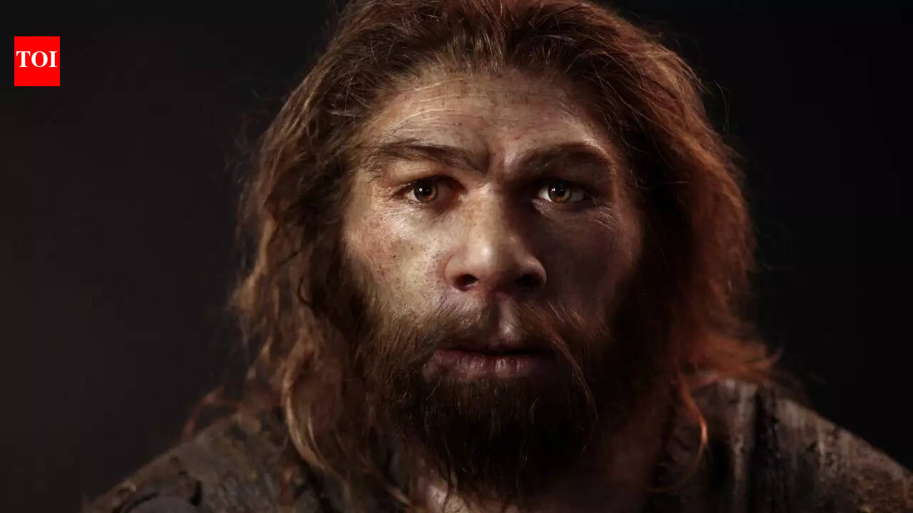 Neanderthal men may have chosen human women more often, reshaping human history: DNA study suggests |