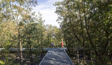 Malba Forest / Estudio Bulla