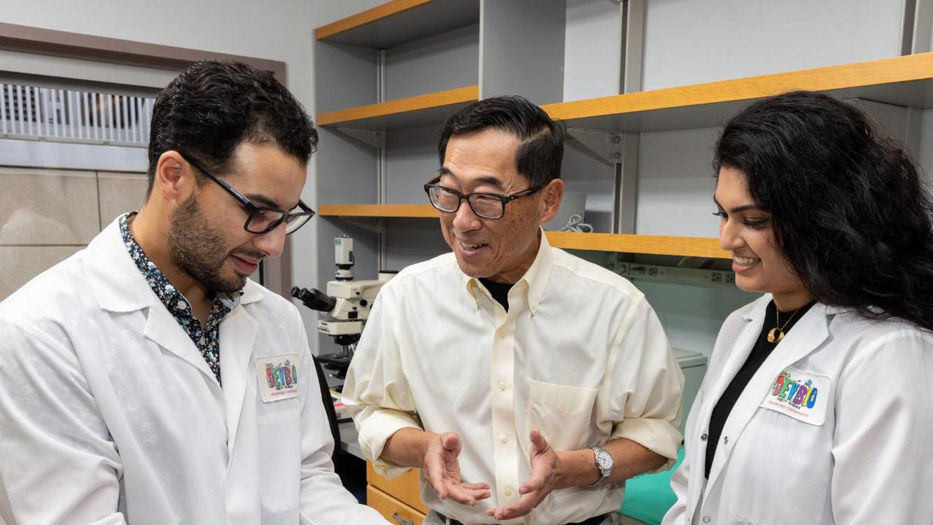 Stanford Cures Type-1 Diabetes in Mice Without Insulin or Immune Suppression