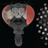 Light enters the compound eye of the fly, causing the photoreceptors to send electrical signals through a complex neural network, enabling the fly to detect motion