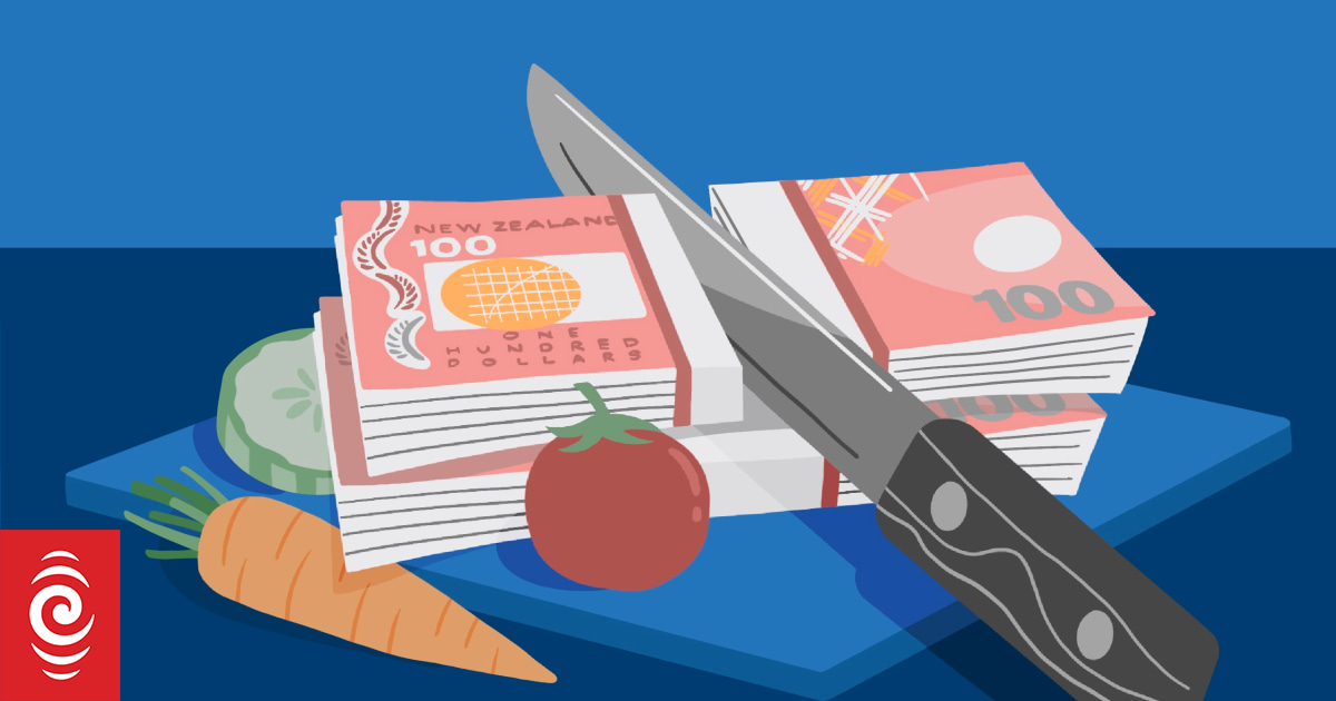 New Zealanders support more taxes on ultra-rich, new poll shows